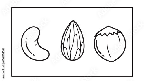 Cashew Nuts in Line Art Style Isolated on White Background