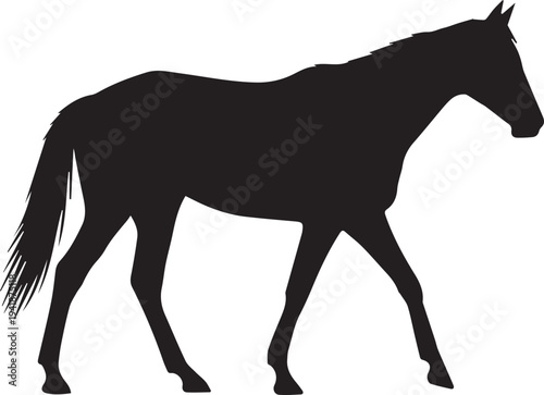 Stallion walking gracefully side view profile black horse vector silhouette illustration