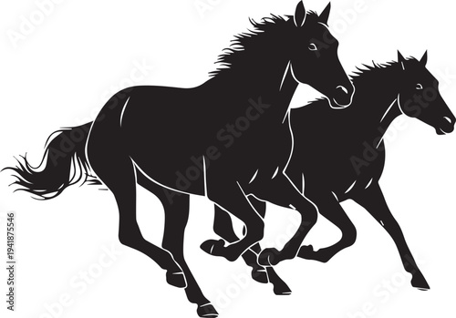 Two horses running vector silhouette illustration, dynamic movement, white line art detail