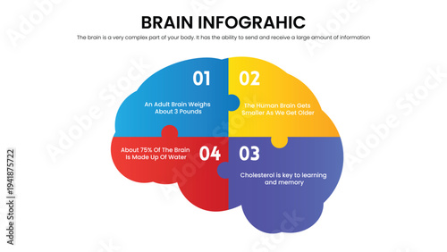 Colorful Human Brain Infographic with Four Facts Sections Puzzle Style Design