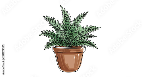 A potted plant with lush green leaves on a white background