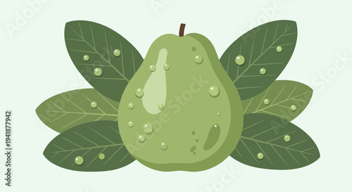 Fresh Green Guava Fruit with Dewdrops on Leaves
