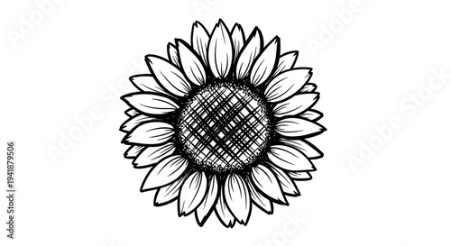 A beautiful black and white illustration of a sunflower