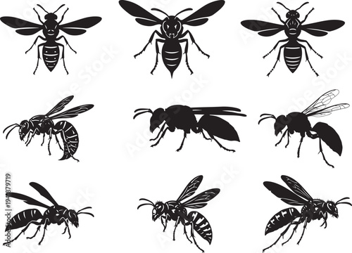 Yellow Jacket Wasp Flying Insect Silhouette