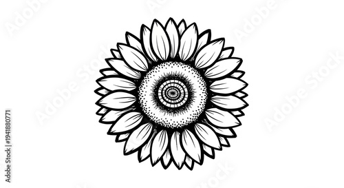 A detailed black and white illustration of a sunflower