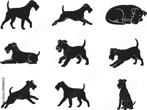 Airedale Terrier Dog Standing Silhouette