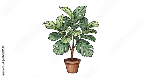 A potted plant with large green leaves on a white background