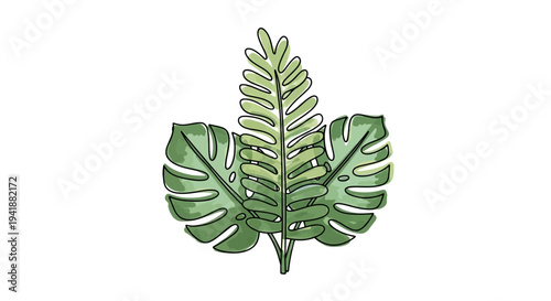 A beautiful illustration of a green leafy plant on a white background
