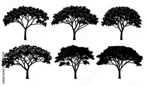 Guayacan Lapacho Lignum Vitae Tree Silhouette Vector Set Tropical Flowering Tree Collection