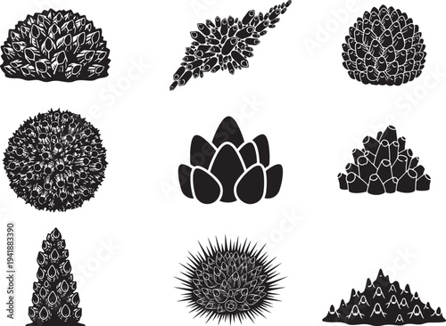 Barnacle Cluster Marine Shell Organisms Silhouette