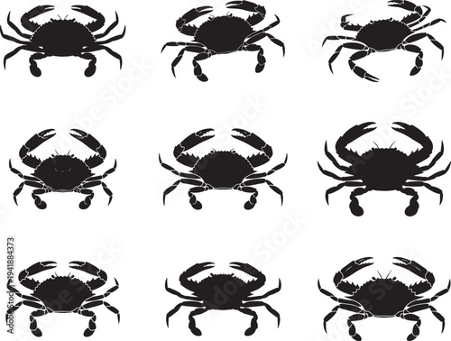 Blue Crab Coastal Crustacean Silhouette