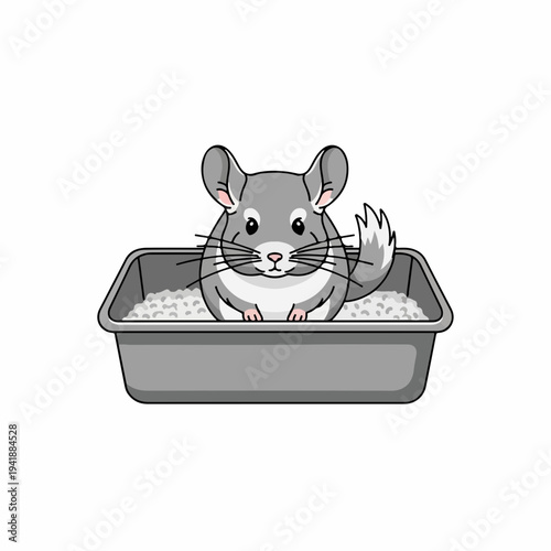 Gray chinchilla pet sitting in rectangular litter box filled with white dust, small fluffy rodent grooming fur for cleanliness.