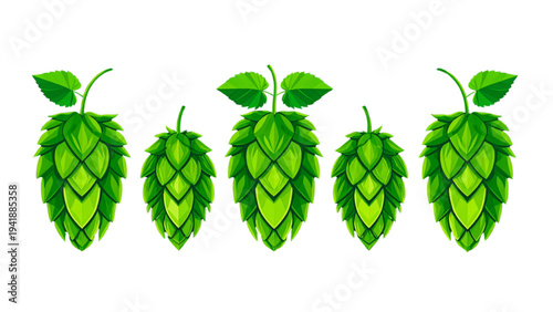 Green Hop Cones and Leaves – Stylized Beer Brewing Ingredients Illustration