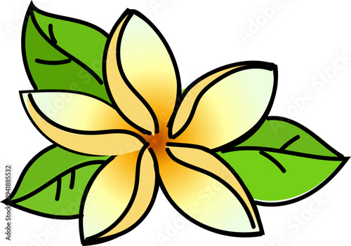 Tropical Plumeria Flower for Spa and Summer Branding