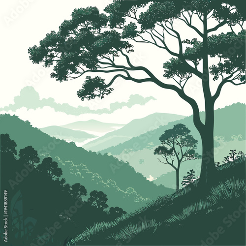 Tropical forest mountains with deep green trees and grassy hillside