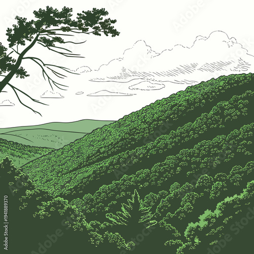 Green mountain ridge with dense forest and tree branch
