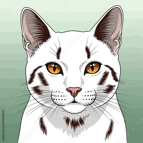 Close-up illustration of a white cat with striking brown stripes and bright amber eyes