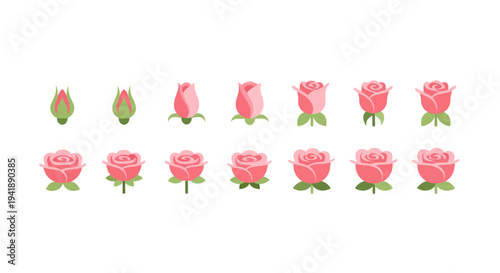 Blossoming rose stages collection: from bud to full bloom in flat design