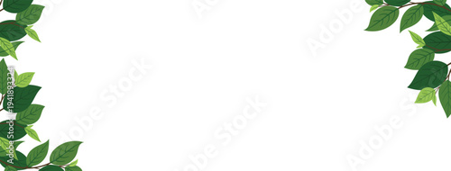 Corner Frame Design with Fresh Green Leaves and Branches for Nature Inspired Card Background Vector Illustration