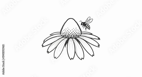 A black and white sketch of a bee on a daisy