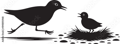 Shorebird adult and chick with nest on ground vector, family scene, wildlife by water