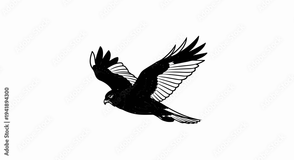 Obraz premium A black bird with white wing accents soars through the sky