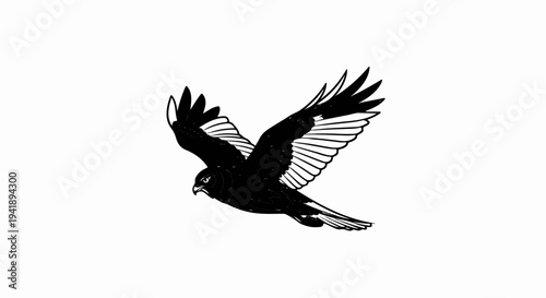 A black bird with white wing accents soars through the sky