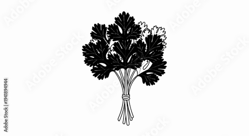 A bunch of cilantro leaves tied together with string