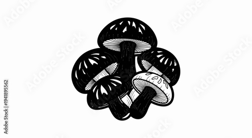 A black and white drawing of a cluster of mushrooms with detailed gills