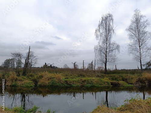 Calm river flowing past a bank with dead trees on an overcast autumn day. Natural landscape reflection