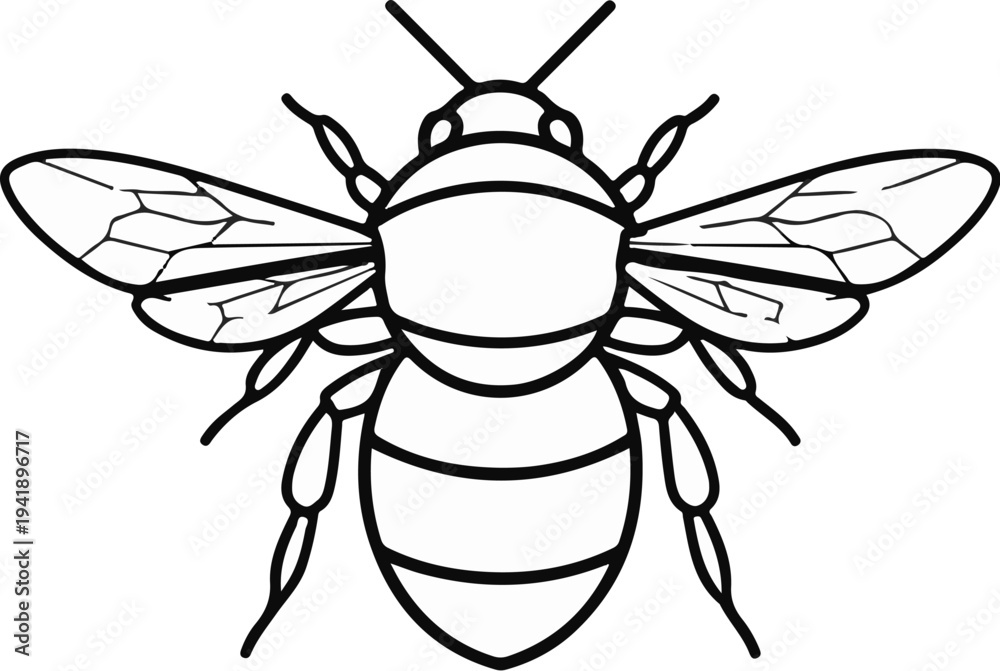 Obraz premium A black and white line drawing of a bee with its wings spread wide