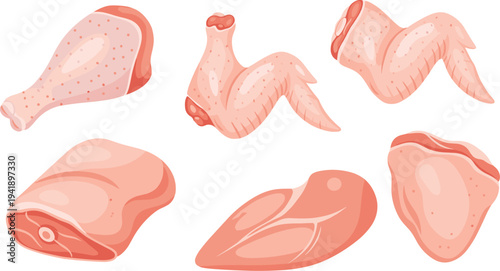 Raw Chicken Meat Cuts Vector Set, Fresh Poultry Drumstick Breast Wing and Thigh Pieces Butcher Food Ingredient Illustration Collection Isolated