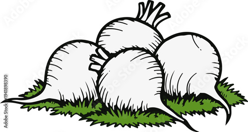 A cluster of white root vegetables with green tops, nestled in green grass