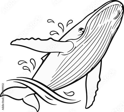 A black and white line drawing of a humpback whale breaching the water