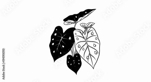 A black and white illustration of several heart-shaped leaves with water droplets