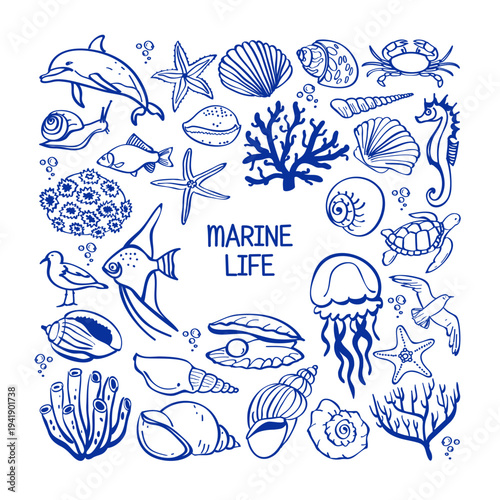 Vacation vibes hand drawn vector illustrations. Vector set with marine life.