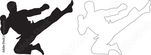 Silhouette of a person performing a martial arts kick with outline