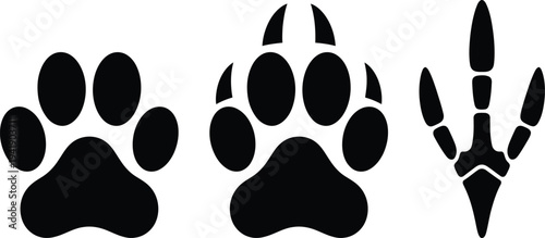Diverse animal tracks showcasing the unique paw prints of different species