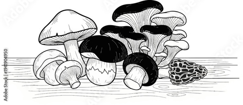 A black and white illustration of various mushrooms on a wooden surface