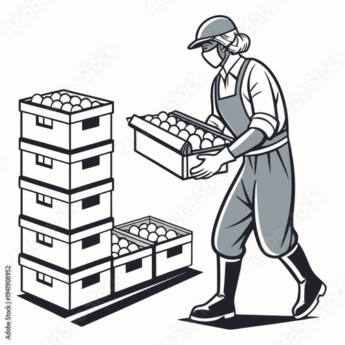Worker collecting eggs from crate on poultry farm