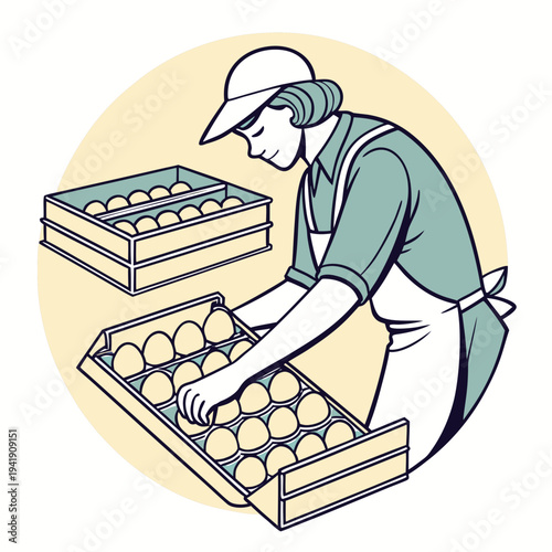 Woman collecting eggs from crate on poultry farm agriculture