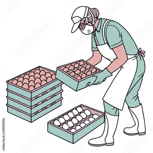 Worker collecting eggs on a poultry farm egg farm person