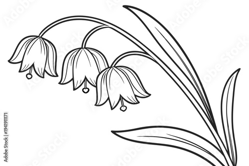 coloring page line art the fritillaria flower black vector