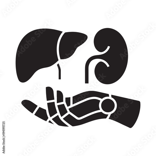 Human organs including liver and kidneys protected by a caring hand