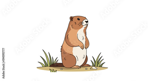 A brown marmot stands upright on its hind legs, looking alertly towards the right, surrounded by sparse green grass and small pebbles.