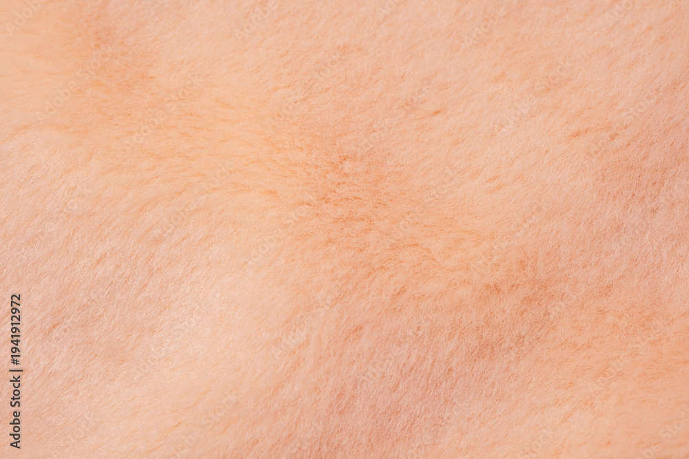 Fototapeta premium Detailed view of a soft warm light peach colored fuzzy fabric textile comfortable surface