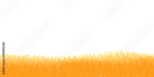 Panoramic summer lawn landscape with herbs, various weeds. Grass illustrations arranged in a grid pattern. simple horizontal grass border, fresh spring look, isolated on white transparent background. 
