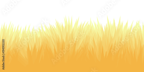Panoramic summer lawn landscape with herbs, various weeds. Grass illustrations arranged in a grid pattern. simple horizontal grass border, fresh spring look, isolated on white transparent background. 