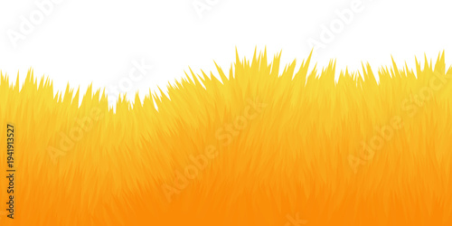 Panoramic summer lawn landscape with herbs, various weeds. Grass illustrations arranged in a grid pattern. simple horizontal grass border, fresh spring look, isolated on white transparent background. 