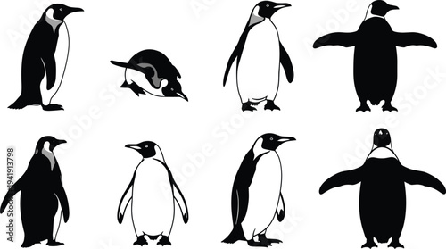 Stylized black and white penguin illustrations in various poses, standing, walking, spreading wings, arranged in rows, distinctive animal artwork